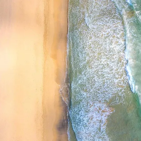 Girassol By An Island *